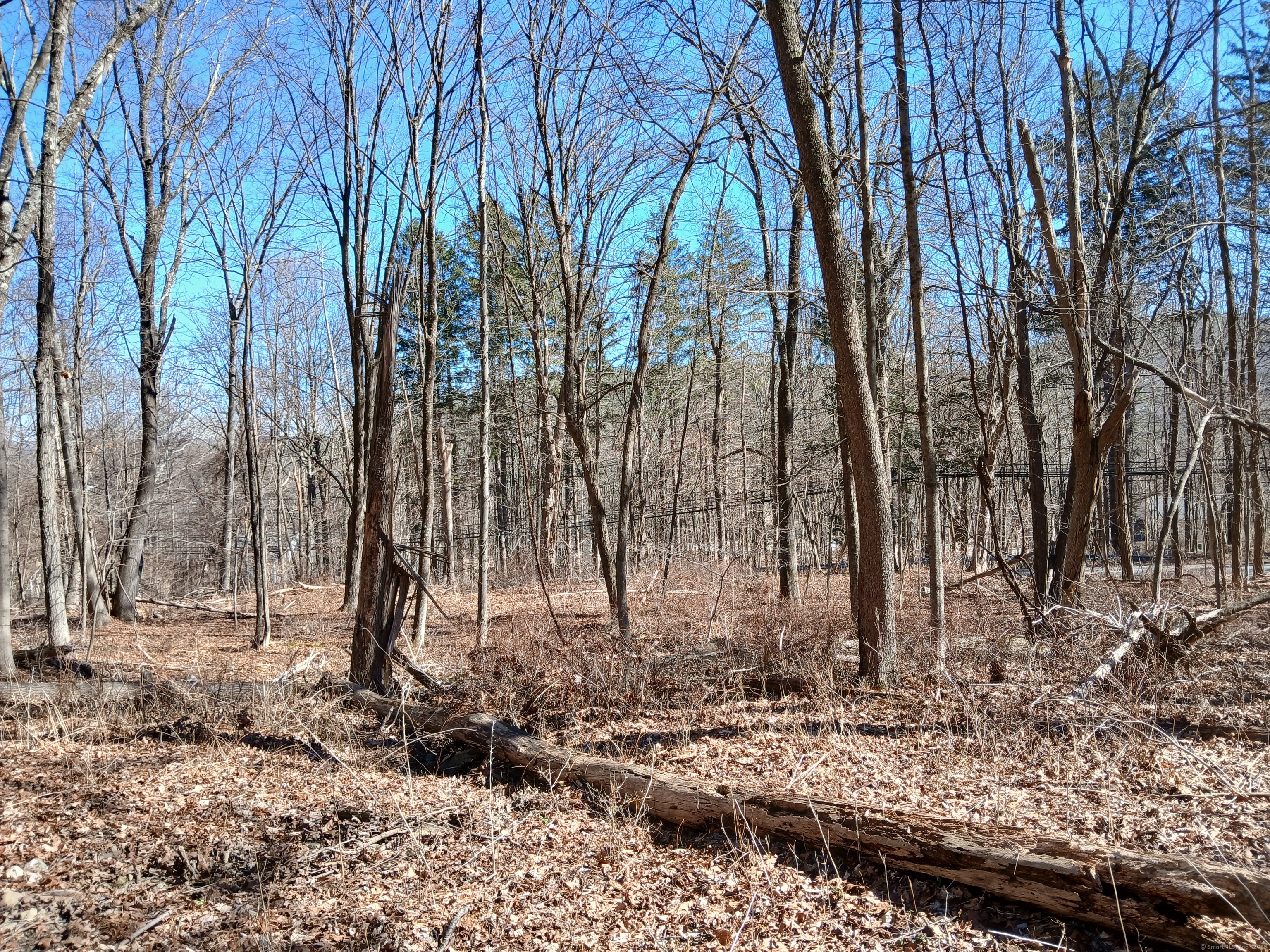Sherman Road, New Milford, Connecticut image 6