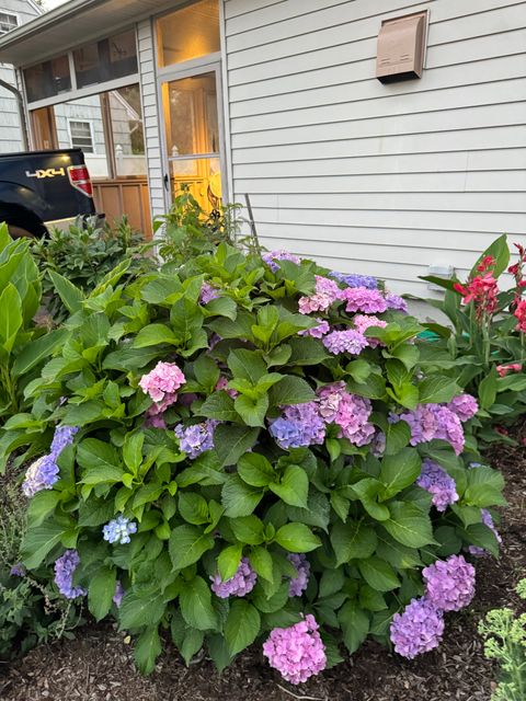 A home in Meriden