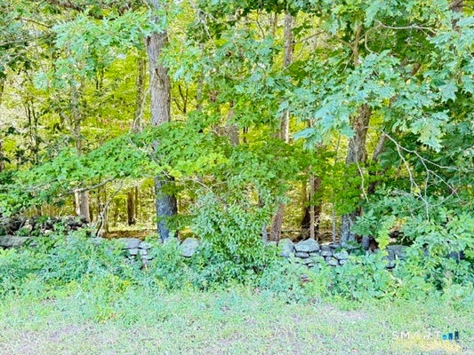 BEAVER DAM RD, KILLINGWORTH, CT 06419 - Image 1de3f419bc00a29f3155ffe84fbb5ae2/3021948526