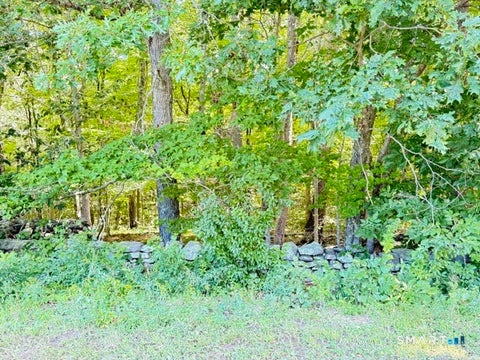 Photo of Beaver Dam Road, Killingworth, CT 06419 (MLS # 24201528)