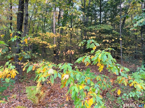 Photo of mbl 125/27/000/s003 North Road, East Windsor, CT 06016 (MLS # 24213336)