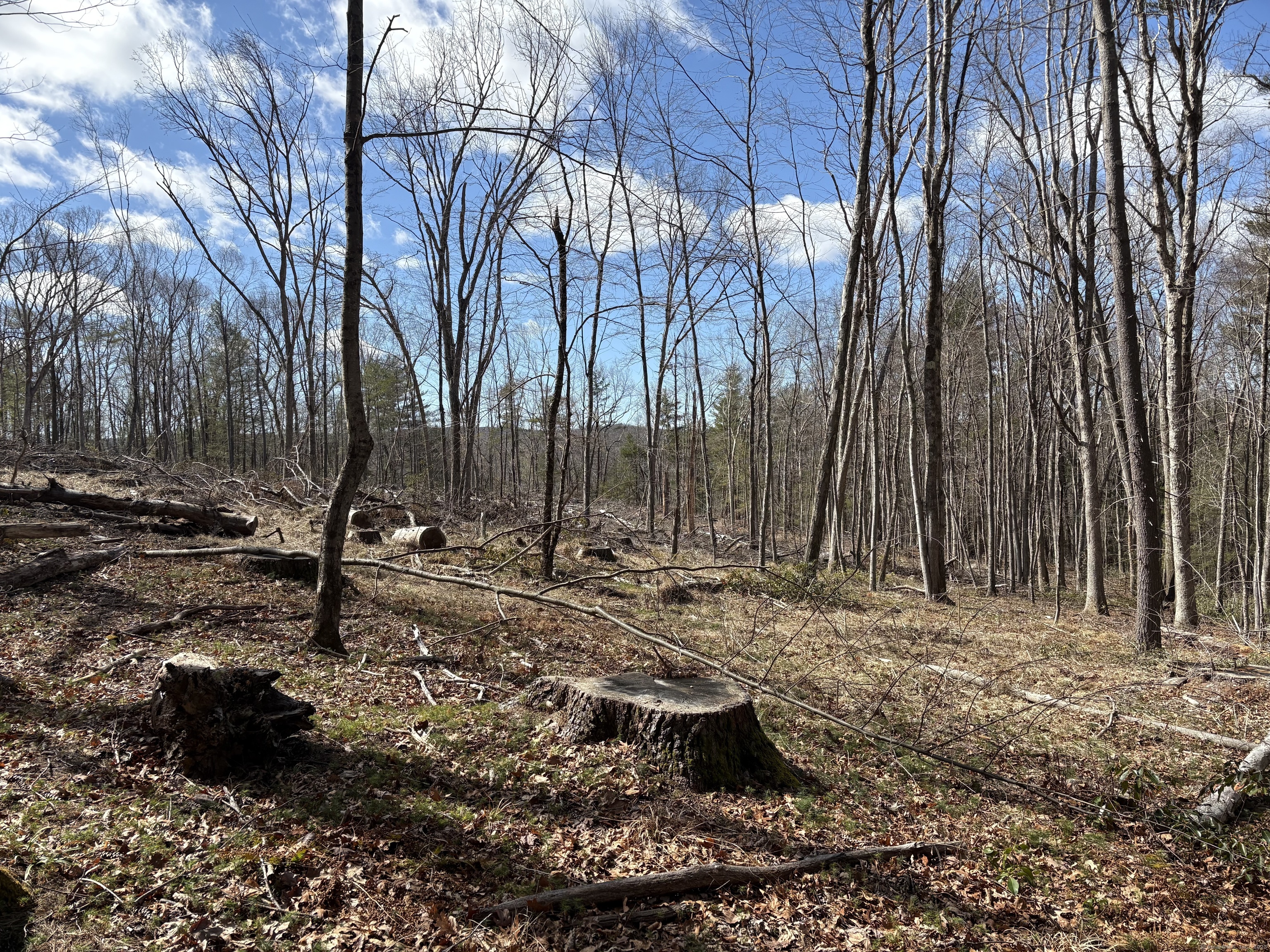 Lot 2 Birch Hill Road, Harwinton, Connecticut image 3