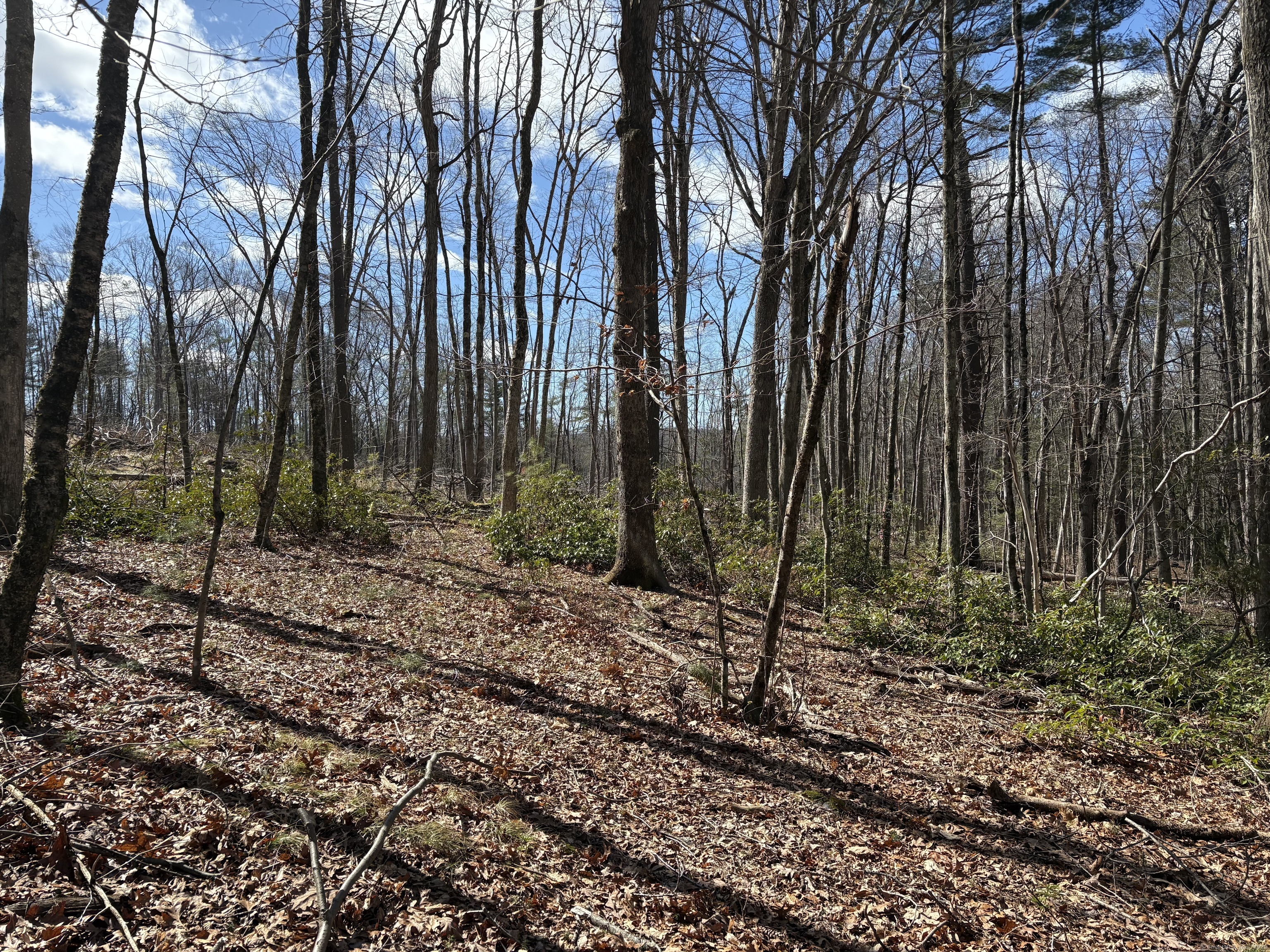 Lot 2 Birch Hill Road, Harwinton, Connecticut image 6