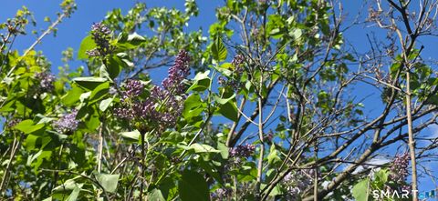 Tiny photo for 5 Flower Hill Road, New Milford, CT 06776 (MLS # 24160483)