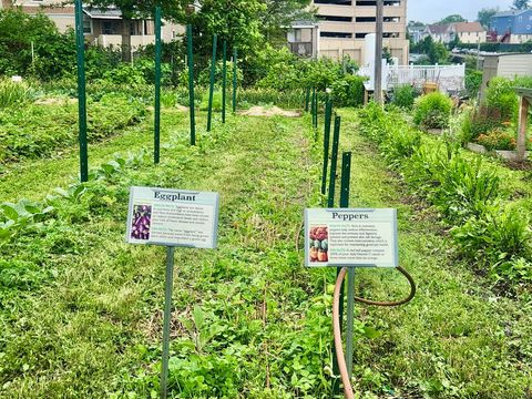 Tiny photo for 31 Fairgate Drive, Stamford, CT 06902 (MLS # 24155168)