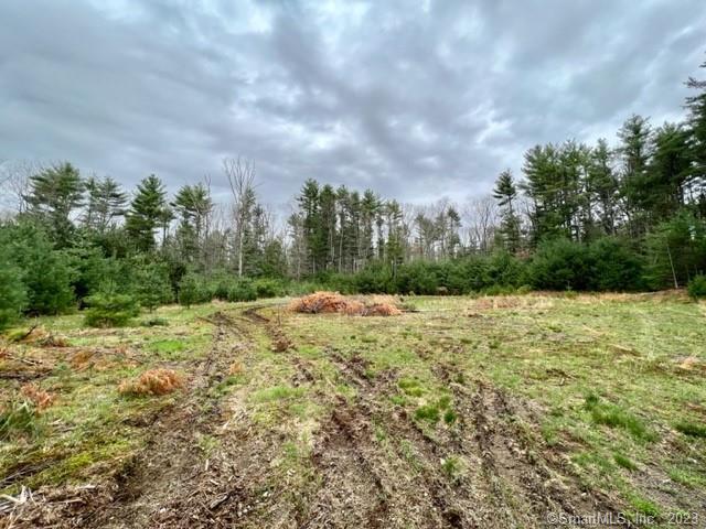 Photo 3 of 9 of 194 Orcuttville Road land
