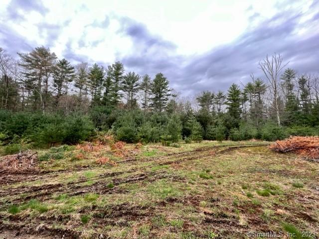Photo 4 of 9 of 194 Orcuttville Road land