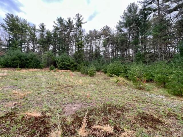 Photo 6 of 9 of 194 Orcuttville Road land