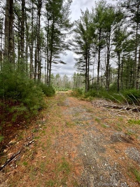 Photo 2 of 9 of 194 Orcuttville Road land
