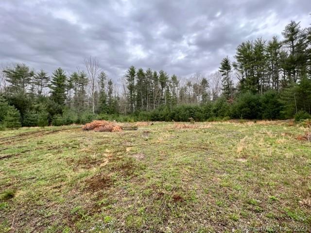 Photo 8 of 9 of 194 Orcuttville Road land