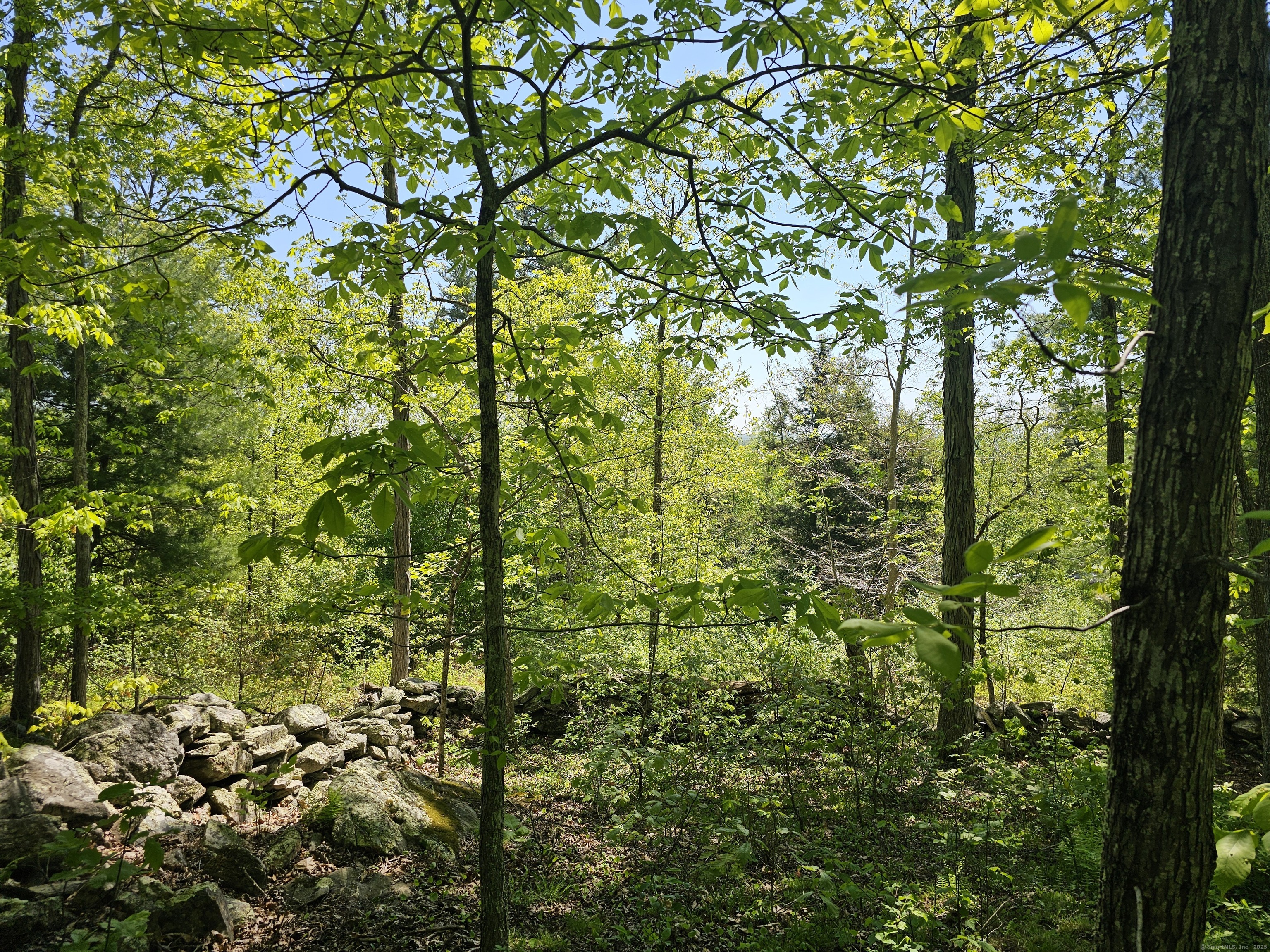 Appell Road, Brooklyn, Connecticut image 2