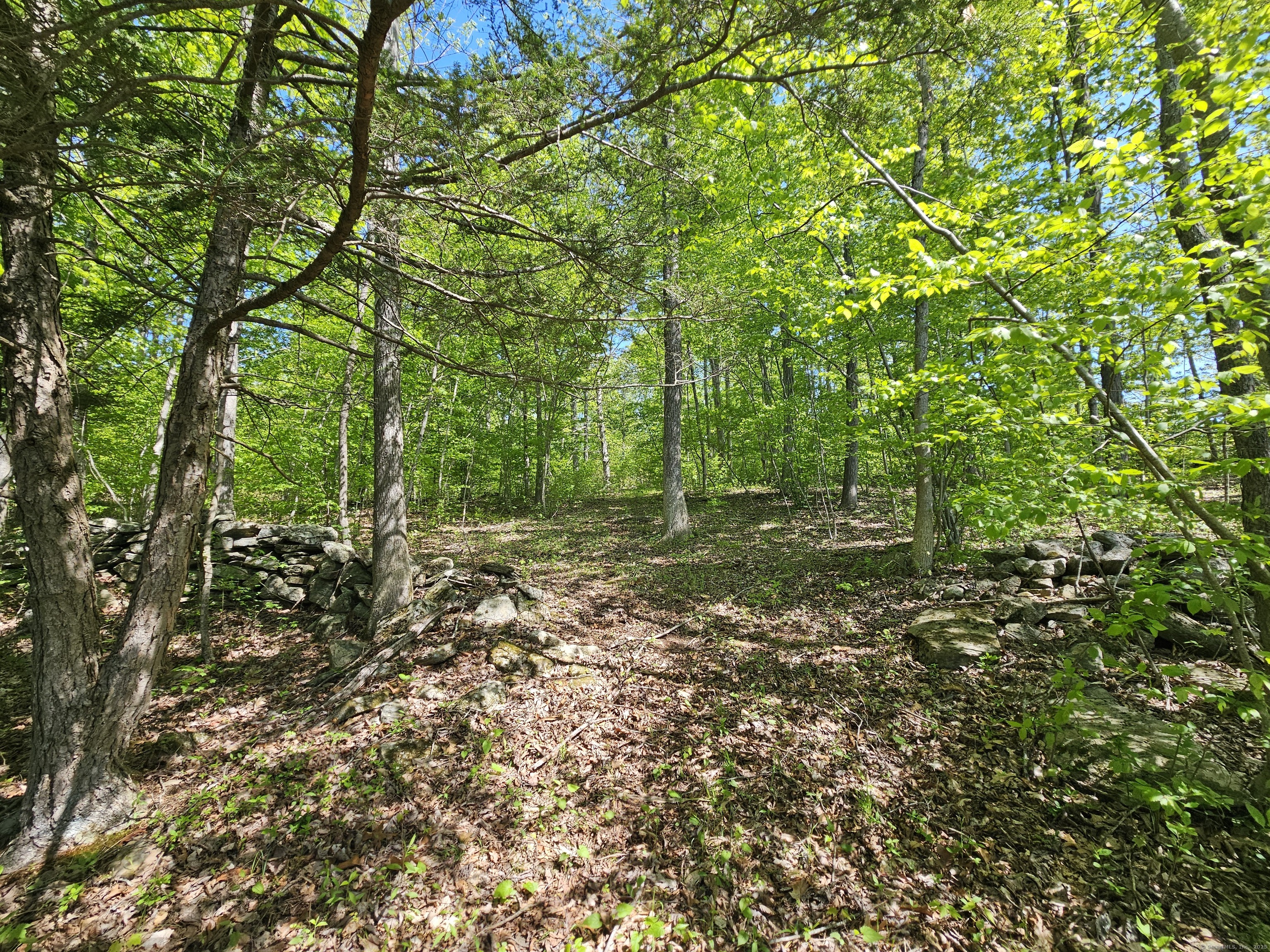 Appell Road, Brooklyn, Connecticut image 1