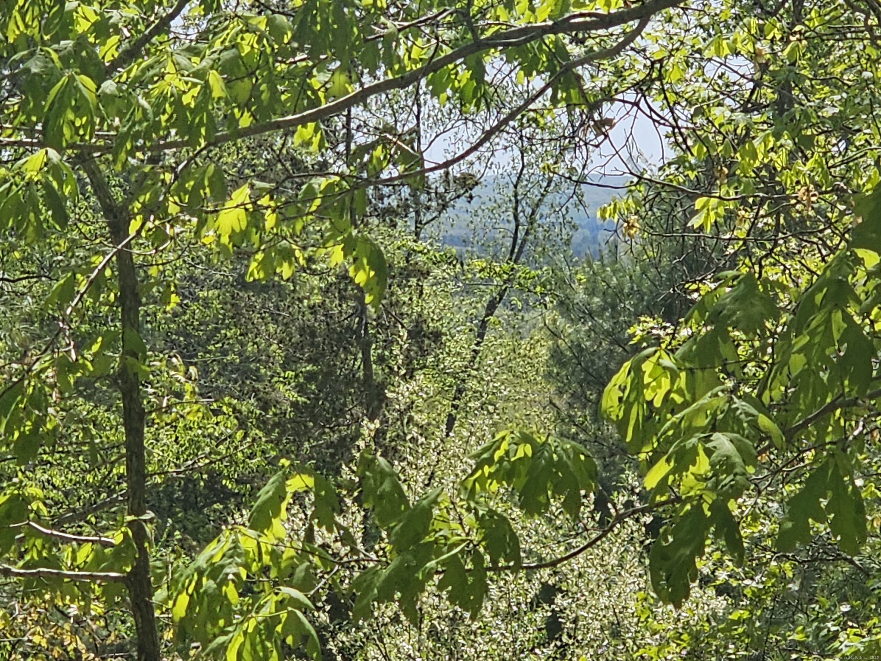 Appell Road, Brooklyn, Connecticut image 4