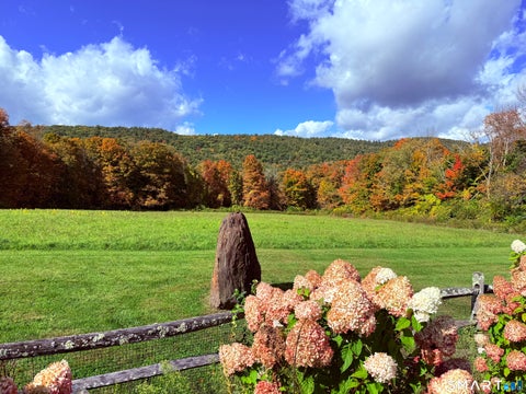 Tiny photo for 128 Music Mountain Road, Canaan, CT 06031 (MLS # 24216486)