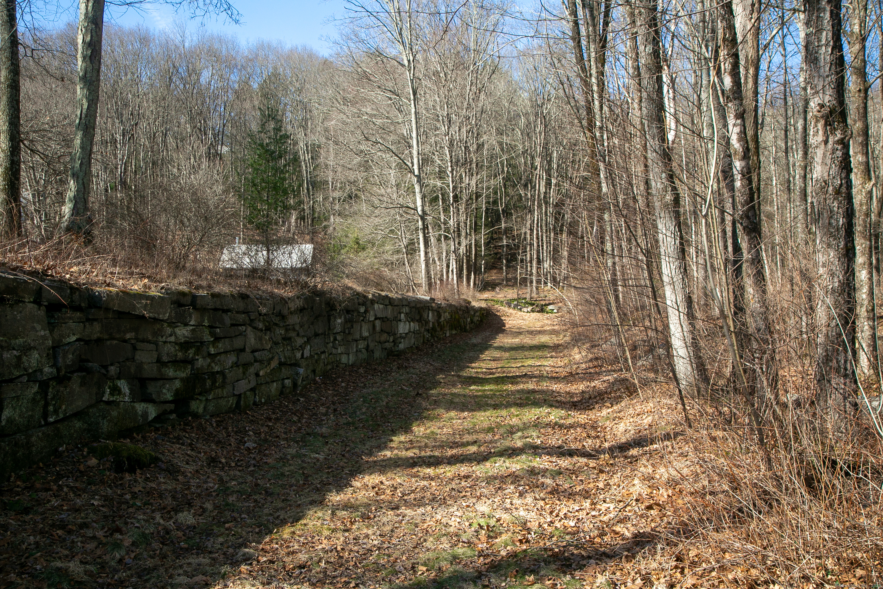11 Hodge Road, Roxbury, Connecticut image 28