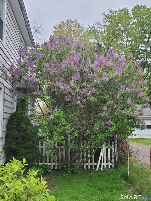 Tiny photo for 37 Harriet Street, Norwalk, CT 06851 (MLS # 24169657)