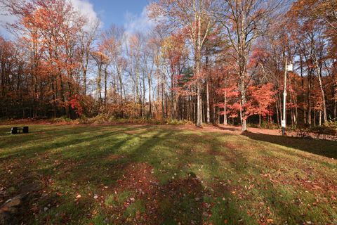 Tiny photo for 266 Old Forge Road, Hartland, CT 06065 (MLS # 24146577)