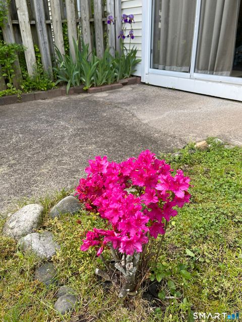 Tiny photo for 455 Dowd Avenue #455, Canton, CT 06019 (MLS # 24145427)