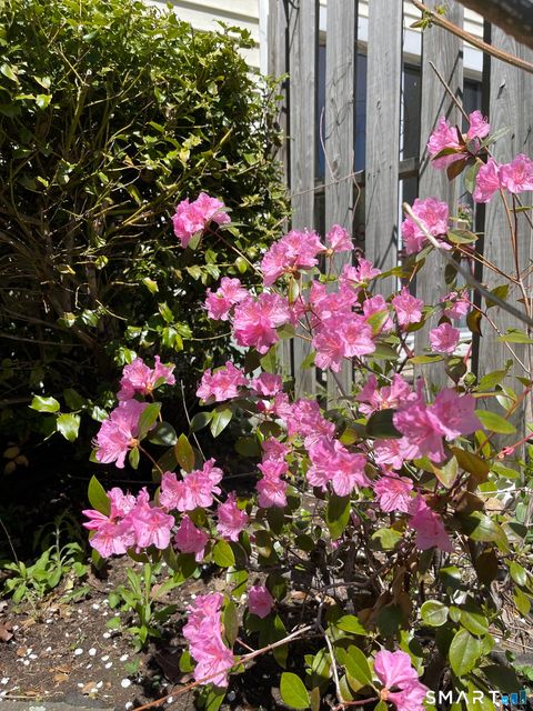 Tiny photo for 455 Dowd Avenue #455, Canton, CT 06019 (MLS # 24145427)