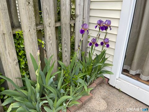 Tiny photo for 455 Dowd Avenue #455, Canton, CT 06019 (MLS # 24145427)