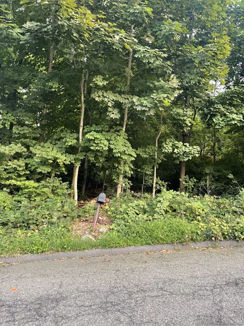 Vacant Land For Sale - 22 Frances Drive<br/> Seymour, CT 06483