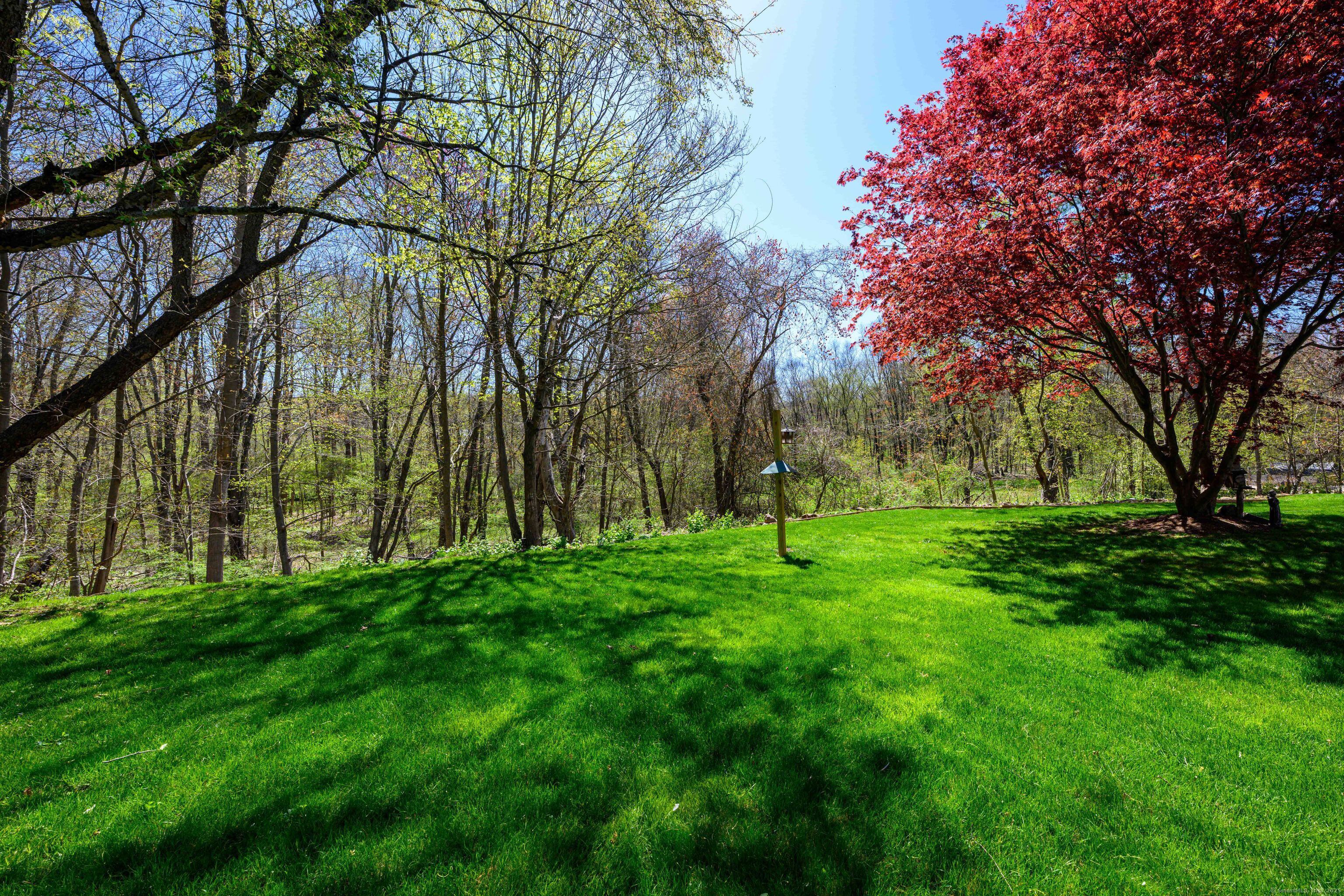 929 Totoket Road, North Branford, Connecticut image 4