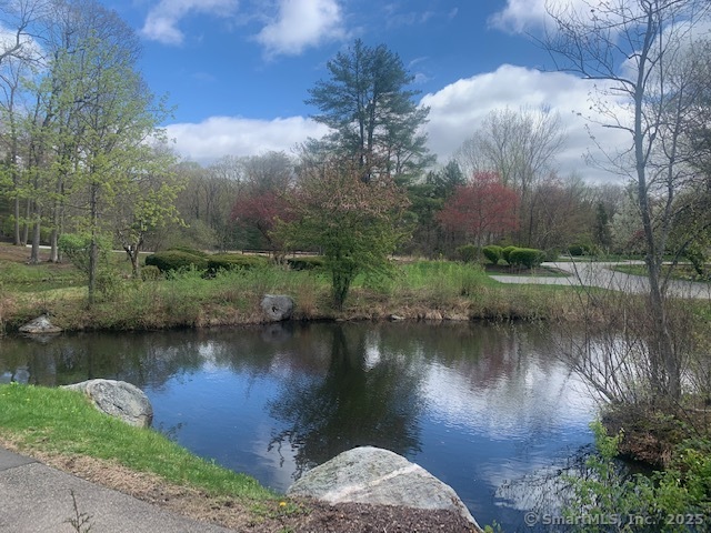 37 Heritage Drive #37, Avon, Connecticut image 22