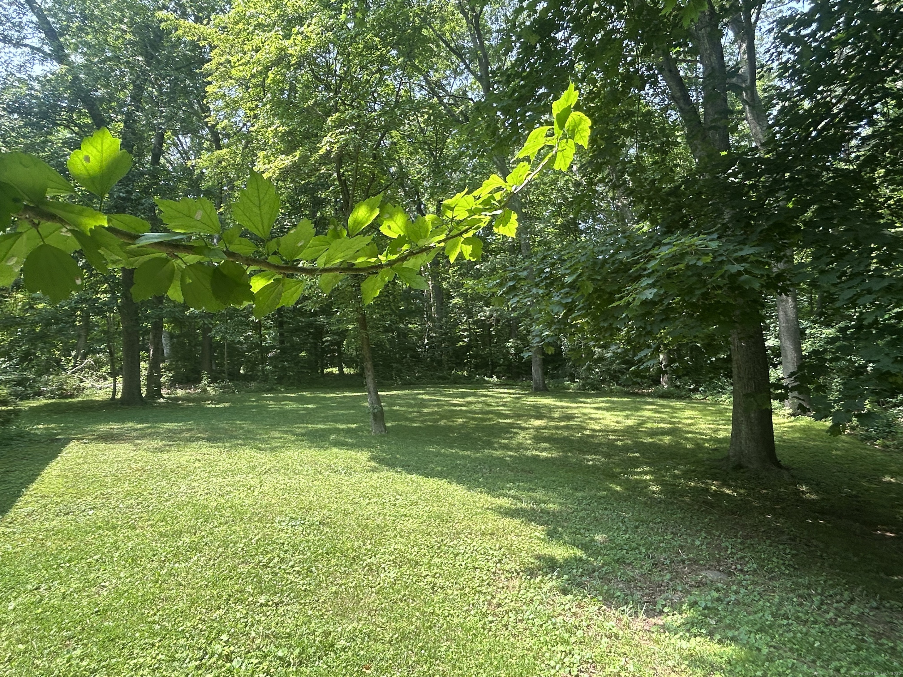 7 Dogwood Drive