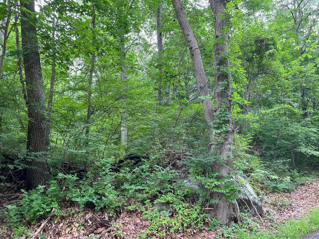 25 Josephine Way, Tolland, Connecticut image 2