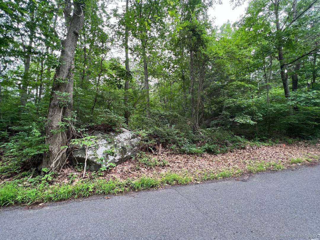 25 Josephine Way, Tolland, Connecticut image 8