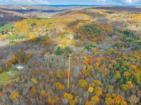 Tiny photo for 43 Hoop Pole Hill Road, Woodbury, CT 06798 (MLS # 24120904)