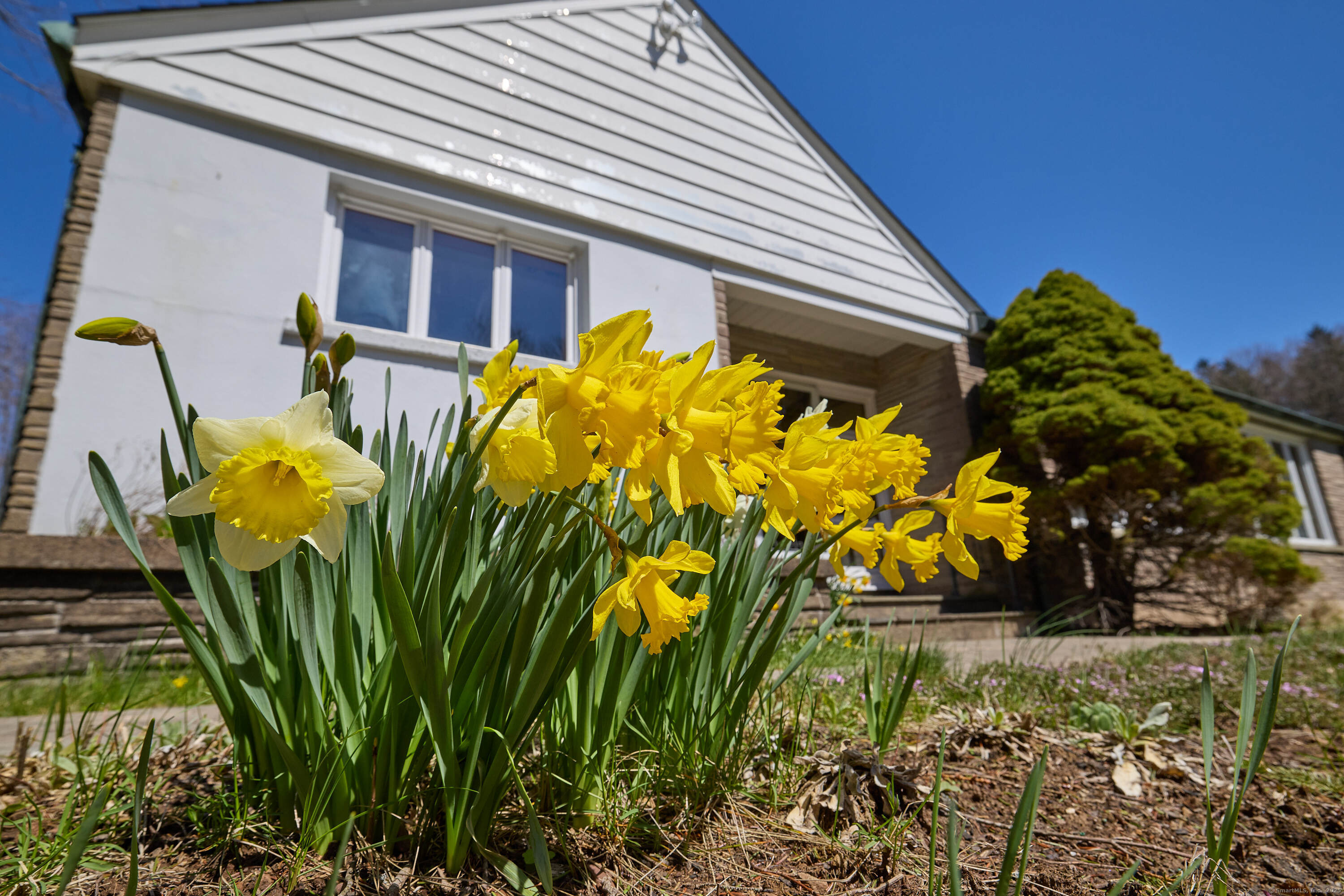 555 Preston Avenue, Meriden, Connecticut image 37