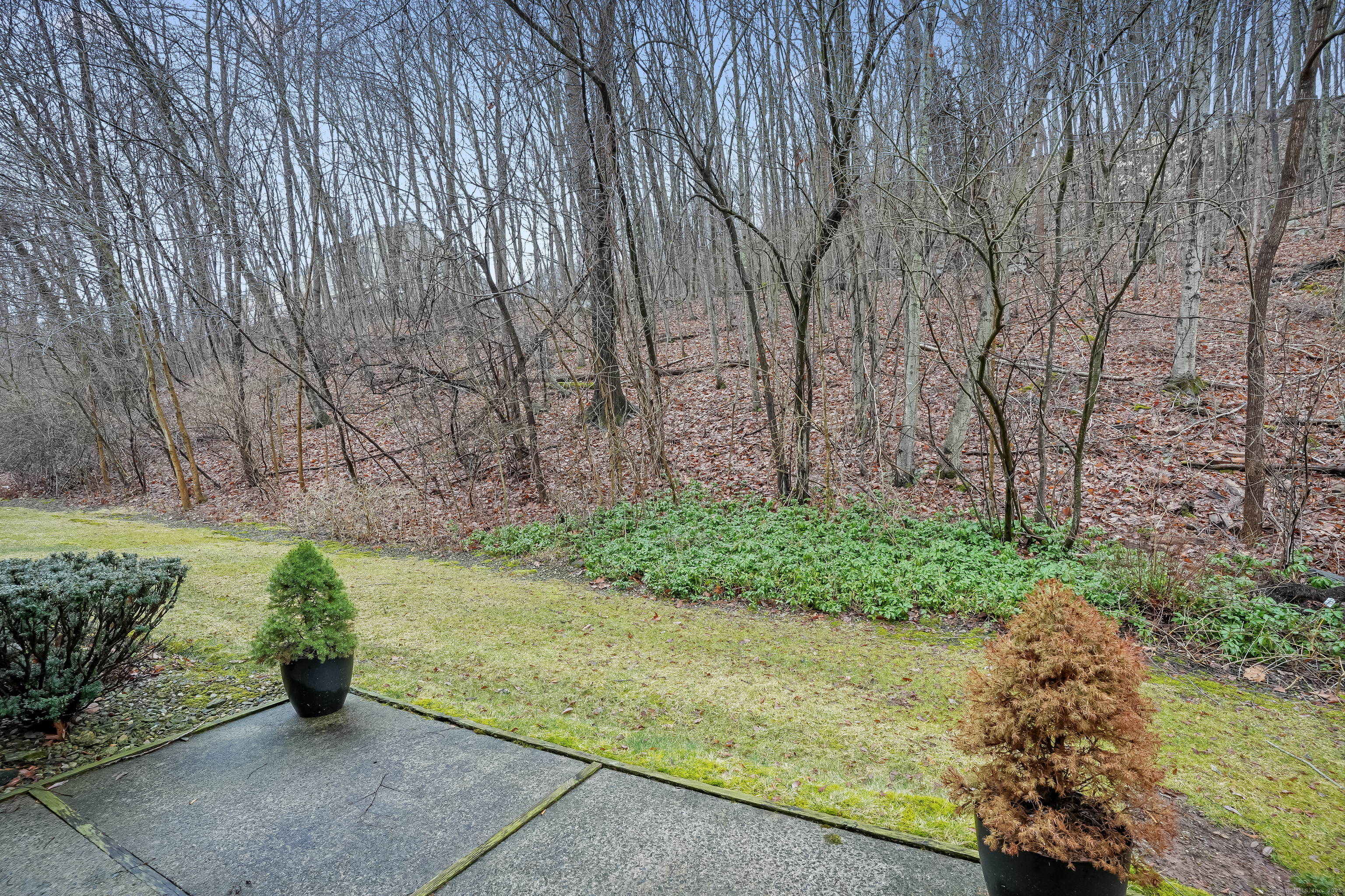 66 Deer Run #66, Bethel, Connecticut image 36