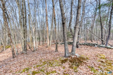 Tiny photo for 11 Mountain Laurel Lane, Chaplin, CT 06235 (MLS # 24161871)