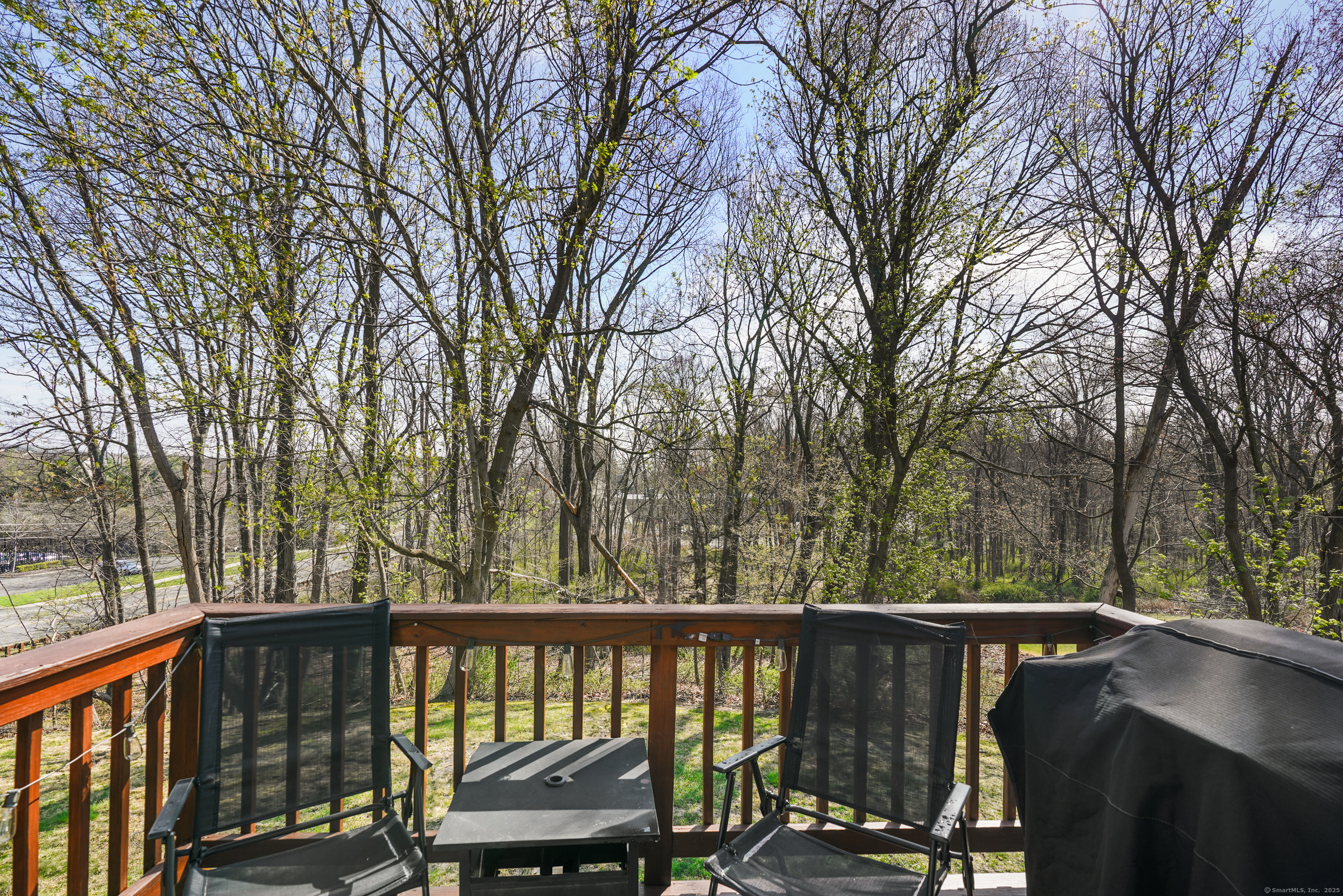 2 Benson Drive, Danbury, Connecticut image 19