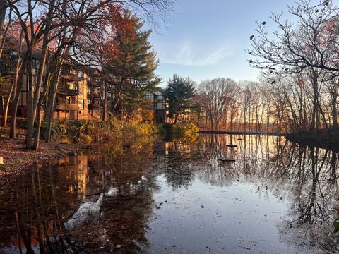 Tiny photo for 50 Aiken Street #APT 382, Norwalk, CT 06851 (MLS # 24141231)