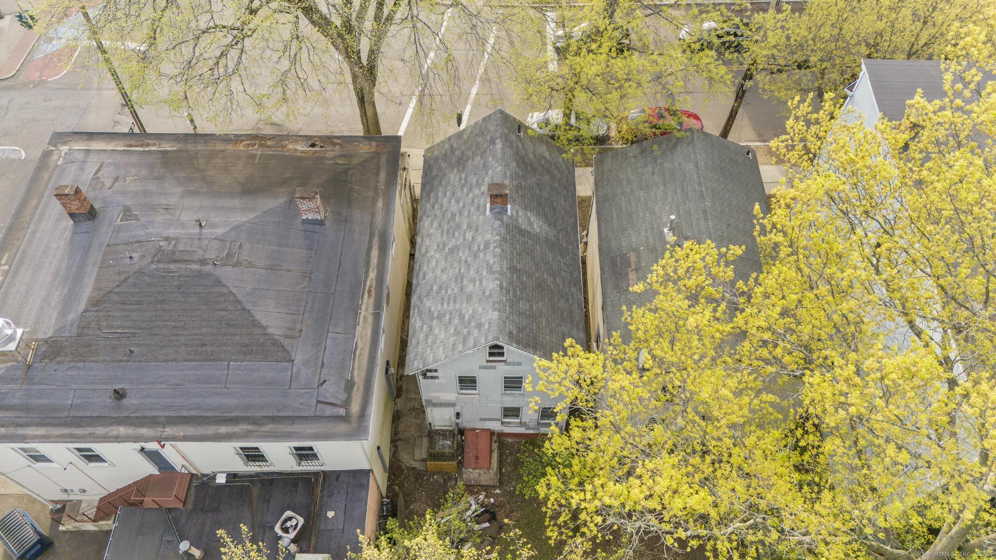 17 Shelton Avenue, New Haven, Connecticut image 5
