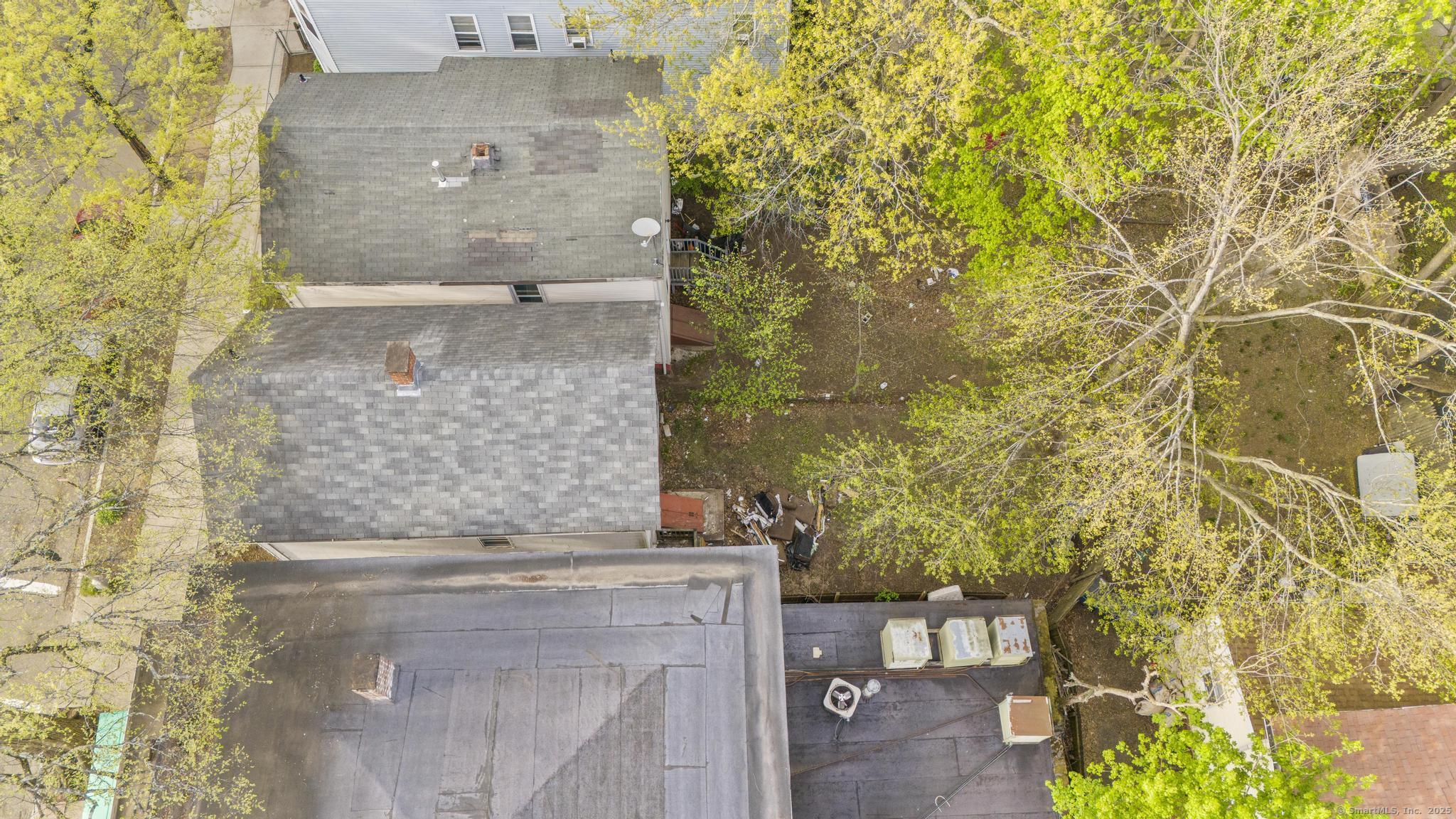17 Shelton Avenue, New Haven, Connecticut image 6