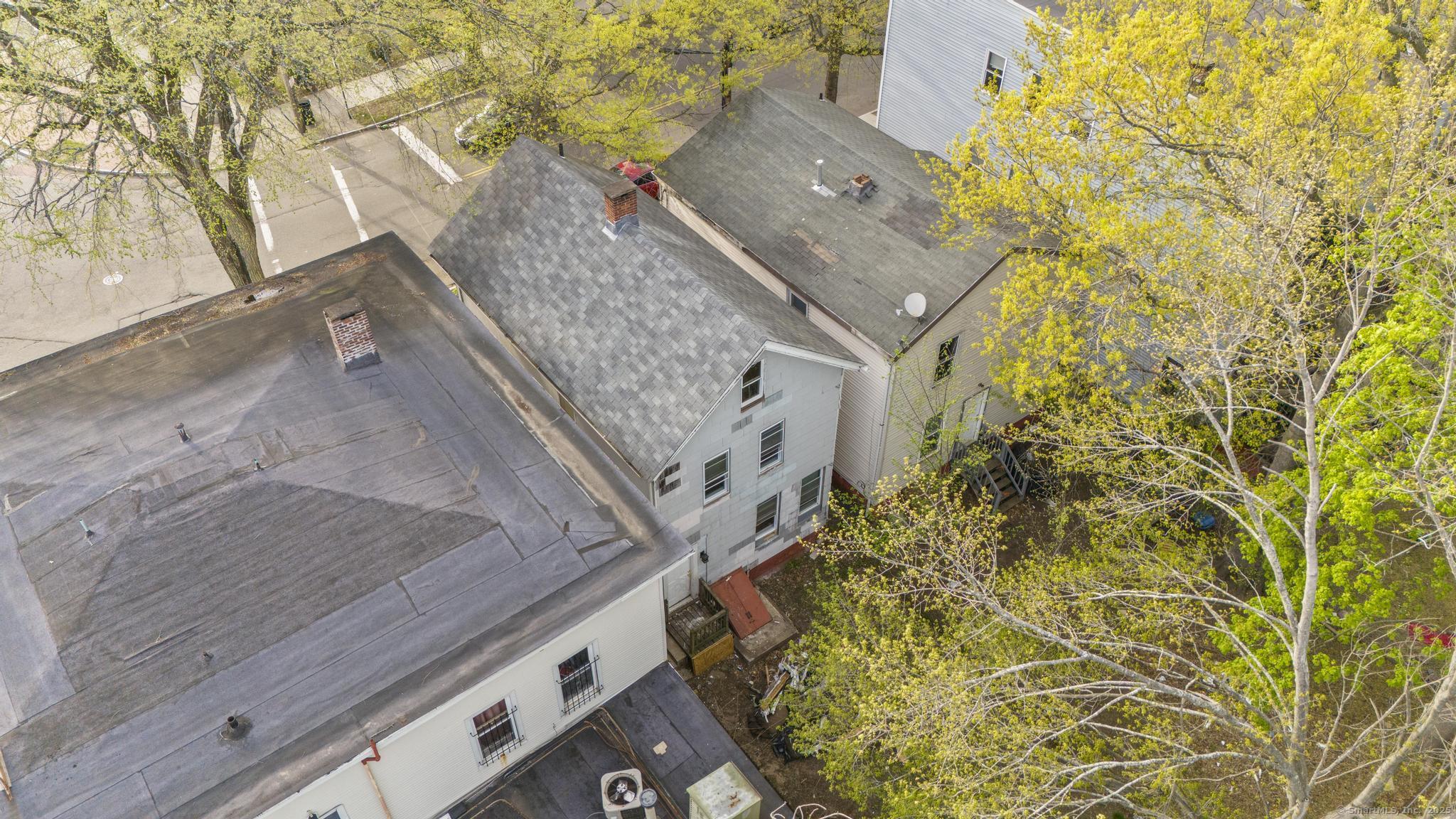 17 Shelton Avenue, New Haven, Connecticut image 4