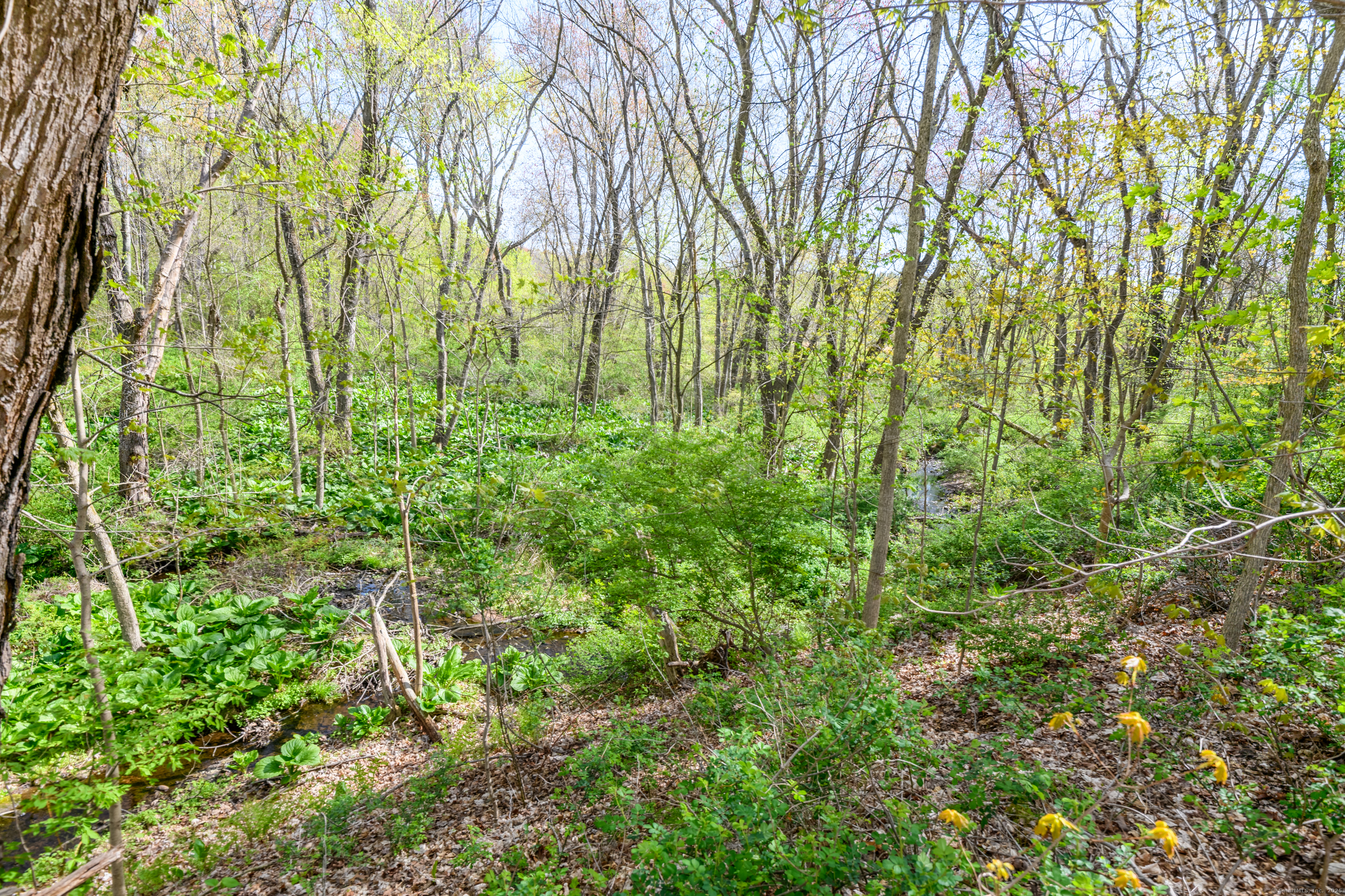 416 Oakland Road, South Windsor, Connecticut image 38