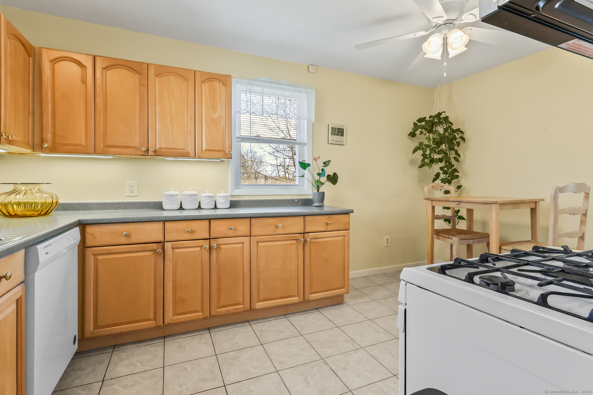 51 Fern Street, Naugatuck, Connecticut image 15