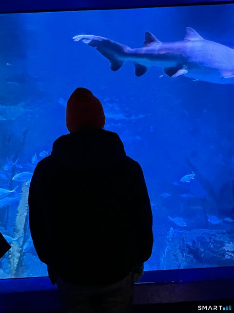 Tiny photo for 33 N Water Street #608, Norwalk, CT 06854 (MLS # 24144081)