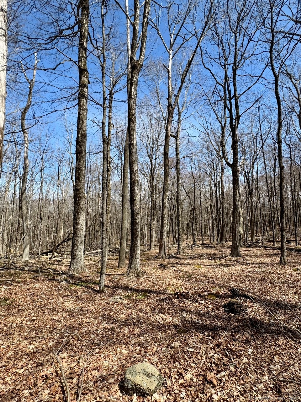 5 Weantinogue Lane, Kent, Connecticut image 2