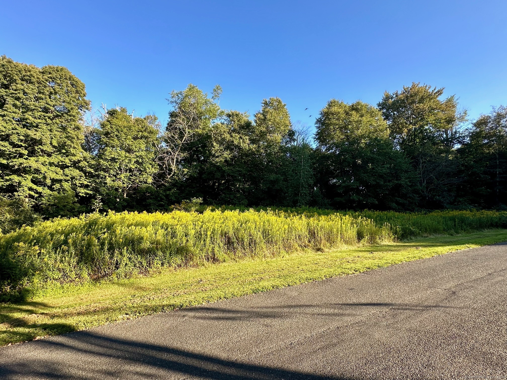 5 Weantinogue Lane, Kent, Connecticut image 20