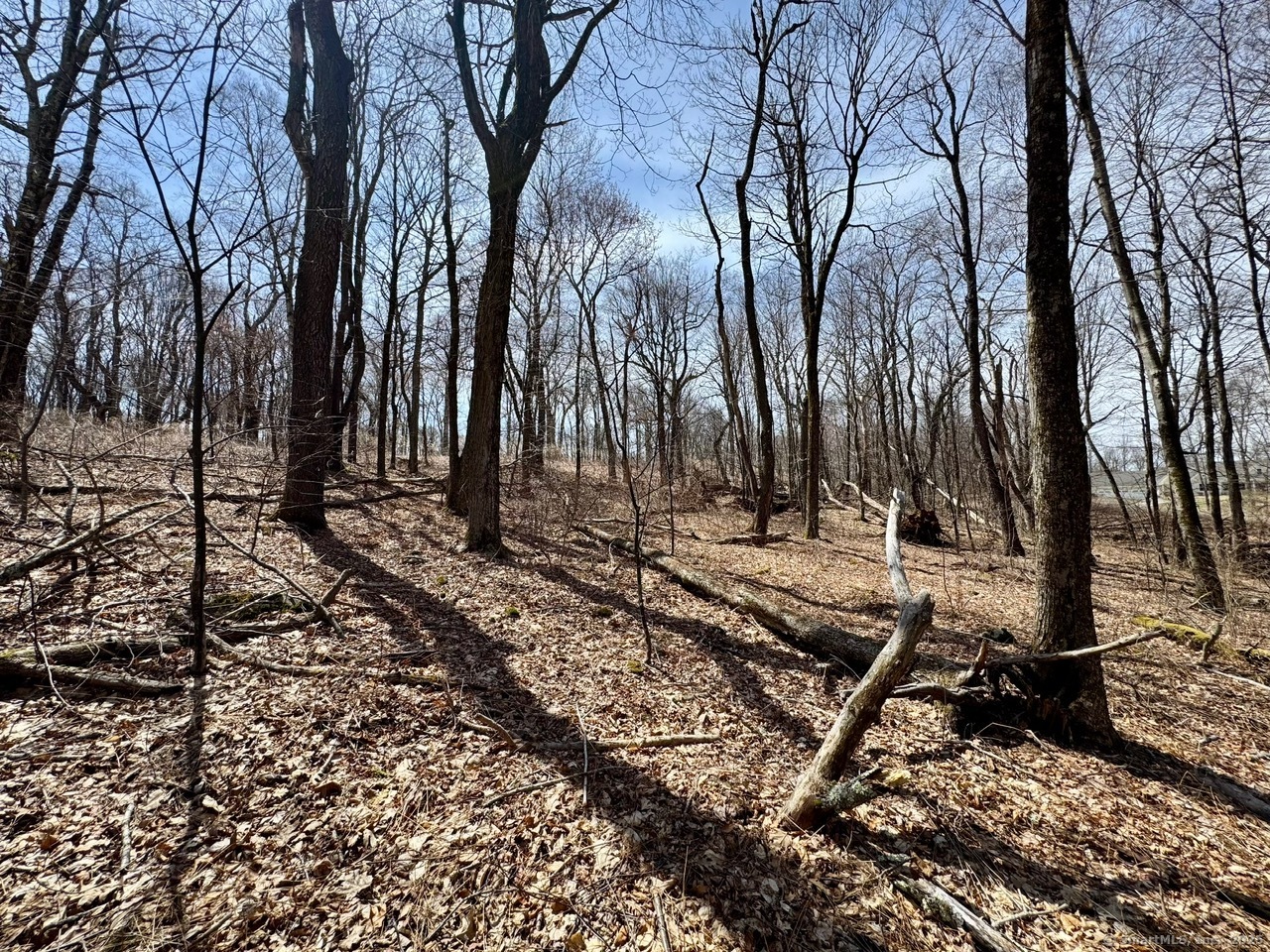5 Weantinogue Lane, Kent, Connecticut image 18