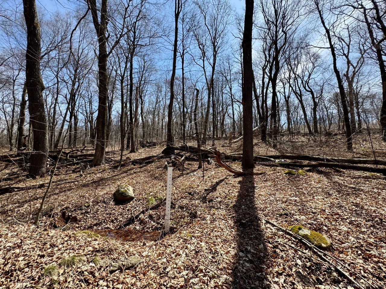 5 Weantinogue Lane, Kent, Connecticut image 3