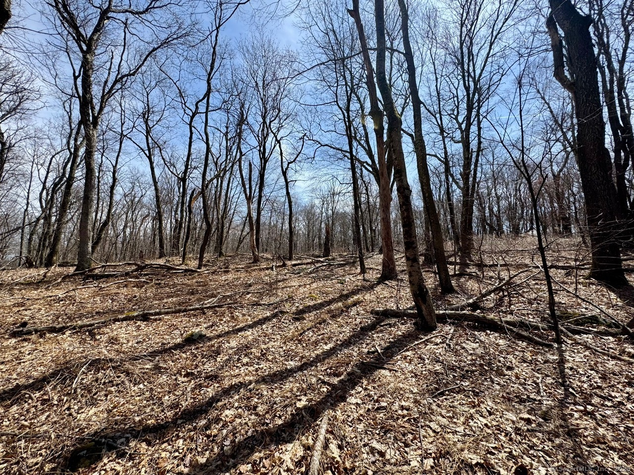 5 Weantinogue Lane, Kent, Connecticut image 14