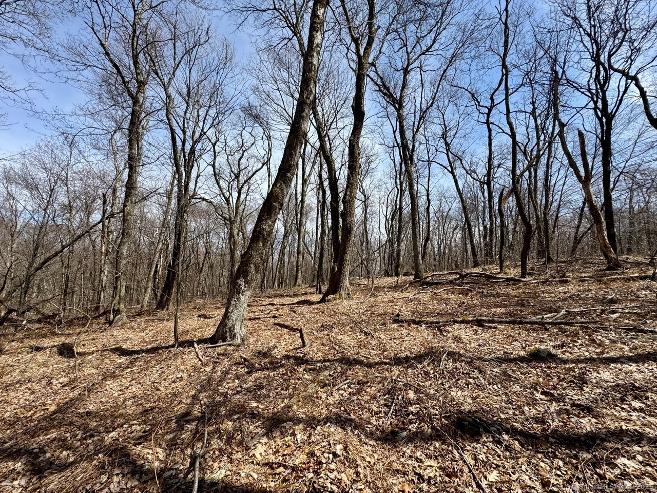 5 Weantinogue Lane, Kent, Connecticut image 15