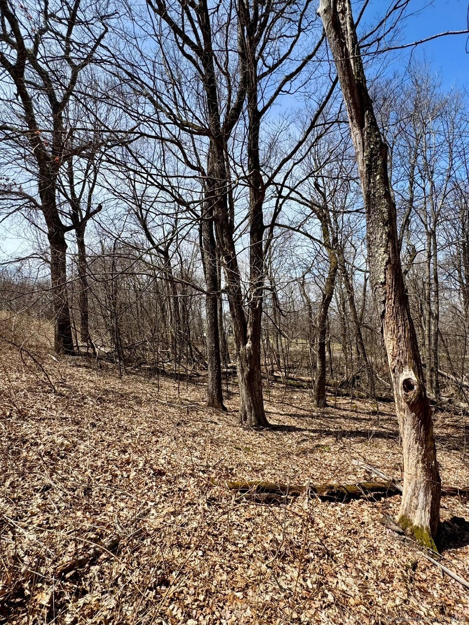 5 Weantinogue Lane, Kent, Connecticut image 24