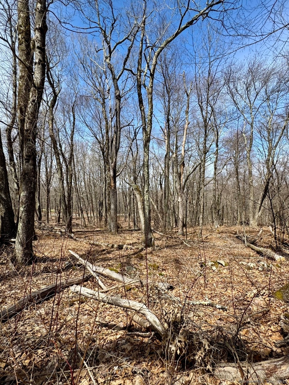 5 Weantinogue Lane, Kent, Connecticut image 22